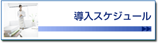 導入スケジュール